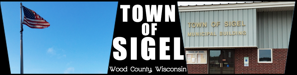 town-of-sigel-banner